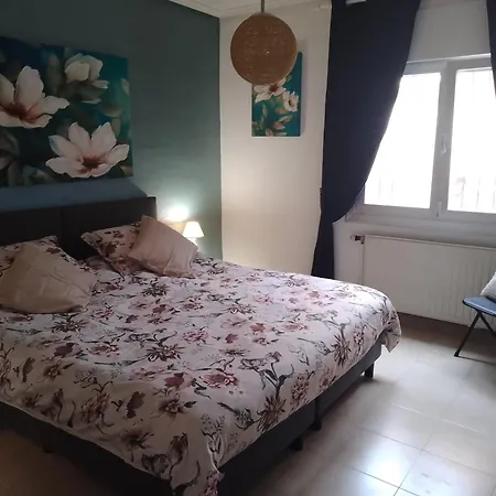 בית נופש Casa El Flamenco Zoutmeer 6 Of 8 Personen טורבייחה